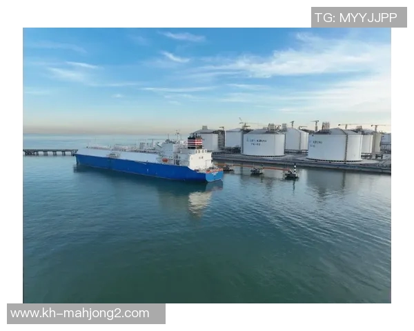 青年赛中LNG展现出色耐力表现的深度分析与点评实时新闻